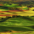 Palouse